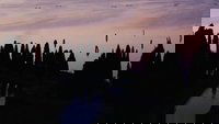 Backdrop 20