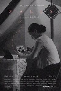 Poster for Walls