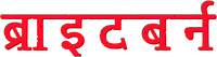 Logo 24