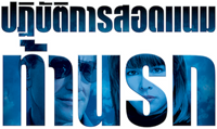 Logo 13
