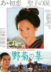 Poster 3