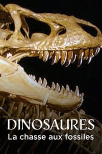 poster Dinosaures, la chasse aux fossiles