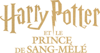 Logo 29