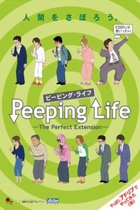 Poster for The Perfect Extension