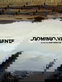 Dominio Vigente