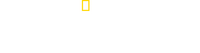 Logo 6