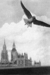 Poster for London Visitors
