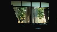 Backdrop 7