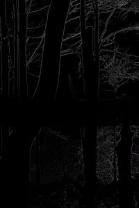 Poster for The Heart of the Wood