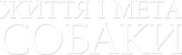 Logo 15