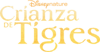 Logo 9