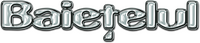 Logo 1