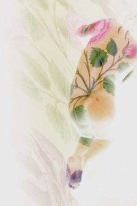 Port Saïd, Santa Cruz, Sarmad Kashani