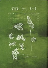 Poster for I Don't Know If You Remember This