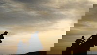 Backdrop 0