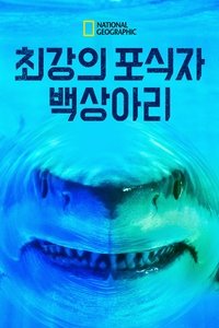 Poster 14