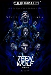 Poster 11