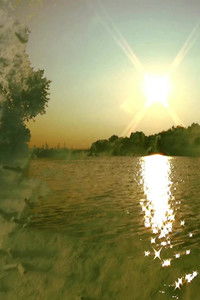 Poster for Résurgence d’une flamme