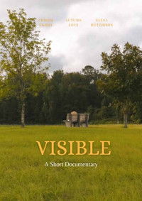 Poster for Visible