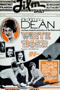 poster White Tiger