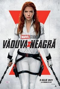 Poster 46