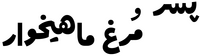 Logo 40