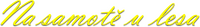 Logo 0