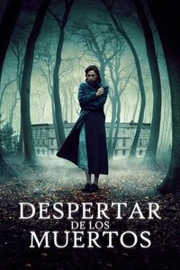 Poster 16
