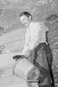 Profile of William Constable