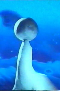 Poster for Inversion