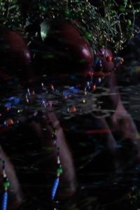 Good Stock On The Dimension Floor: An Opera