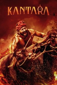 Poster 14