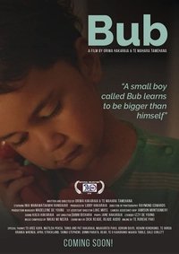 Poster for Bub