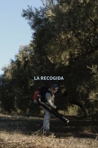 Poster for Olive Harvest