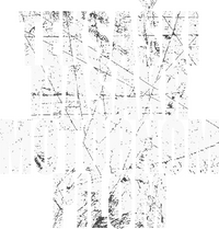 Logo 8