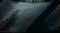 Backdrop 11