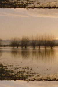 Poster for Landscape as Landscape 11