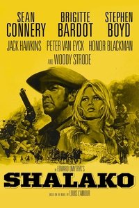 Poster 11