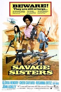 Poster 2