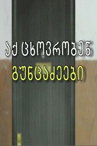 Poster for The Guntsadzes Live Here