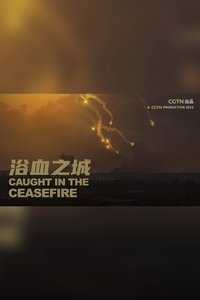Poster for Caught in the ceasefire