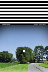 Poster for Images of a Tree