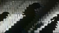 Backdrop 8