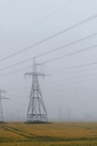 Poster for Invasive Species