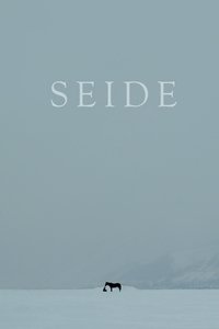 Seide