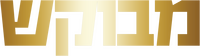 Logo 13