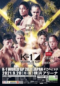 Poster 4