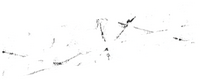 Logo 11