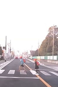 Poster for About Constitutional Wildcard