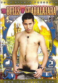 The Bulls of Guadalajara 2